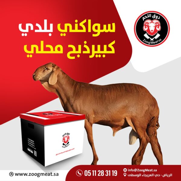 سواكني بلدي كبير ذبح محلي 27:22 كيلو
