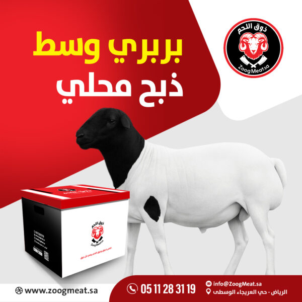 بربري وسط ذبح محلي 18:15 كيلو