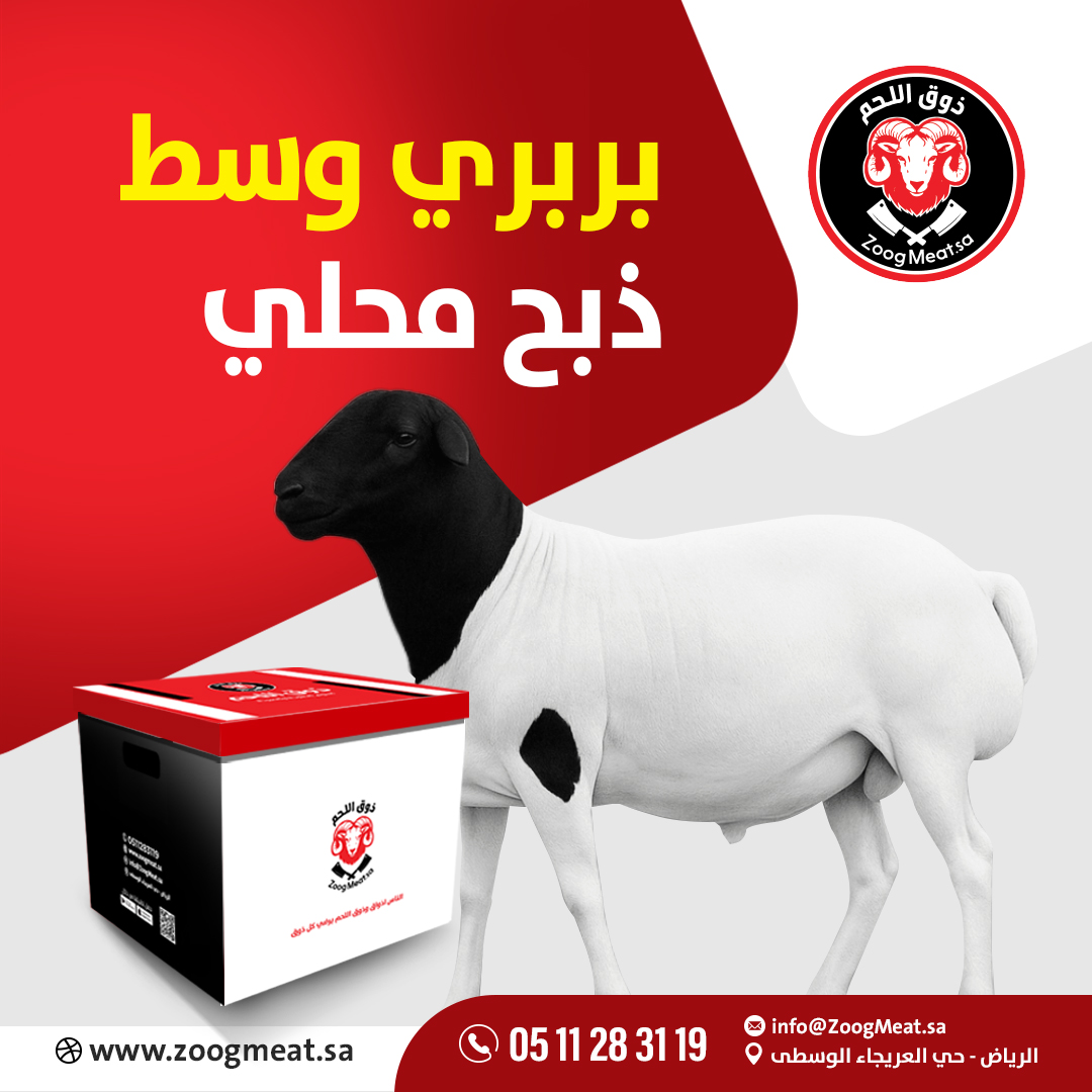 بربري وسط ذبح محلي 18:15 كيلو