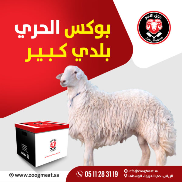 بوكس الحري بلدي كبير   12 كيلو