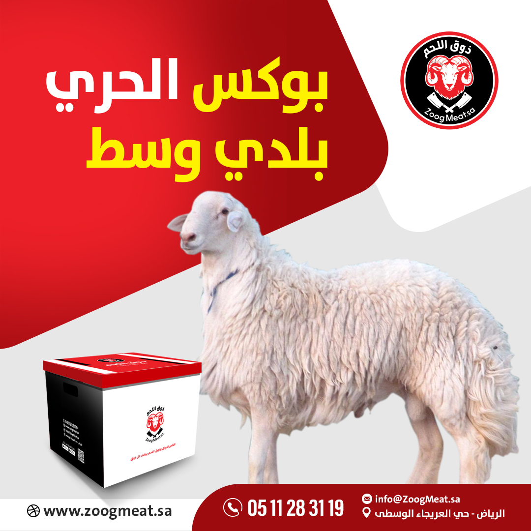 بوكس الحري بلدي وسط 6 كيلو