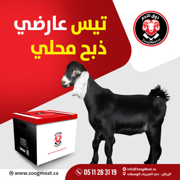 تيس عارضي ذبح محلي 16:13 كيلو