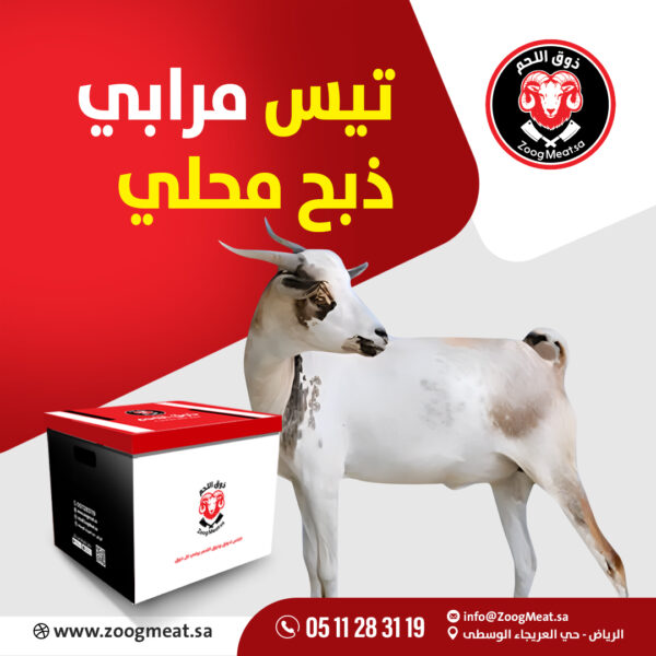 تيس مرابي ذبح محلي 13:11 كيلو