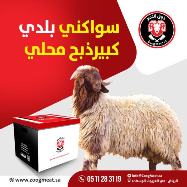 سواكني بلدي كبير ذبح محلي   27:22 كيلو