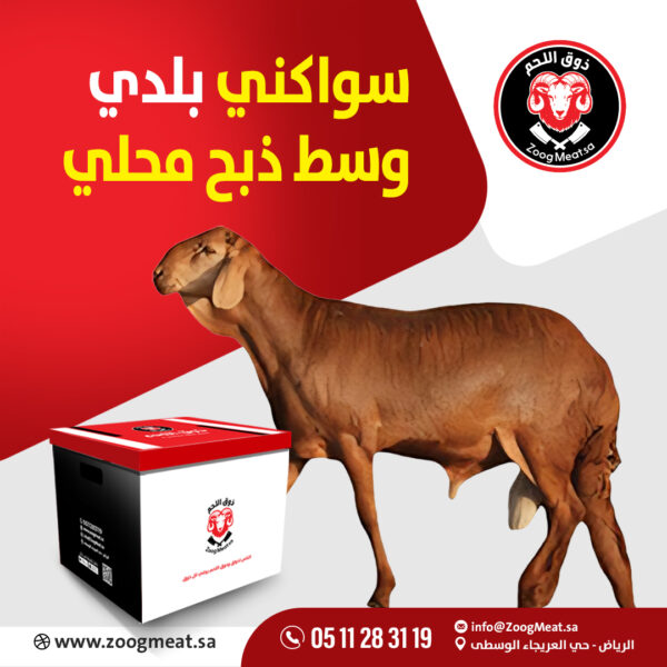 سواكني بلدي وسط ذبح محلي 15:19 كيلو