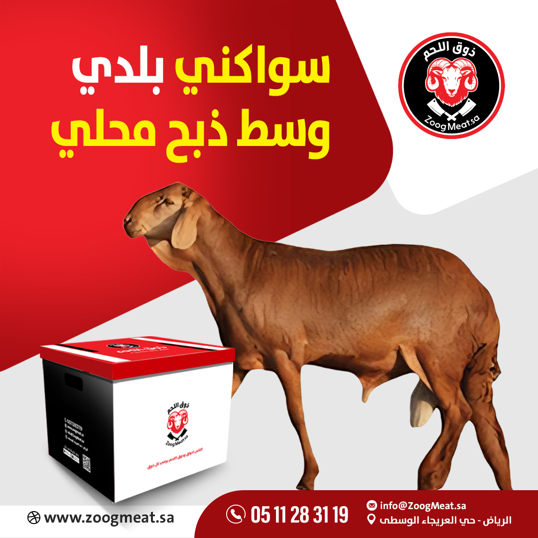 سواكني بلدي وسط ذبح محلي 15:19 كيلو