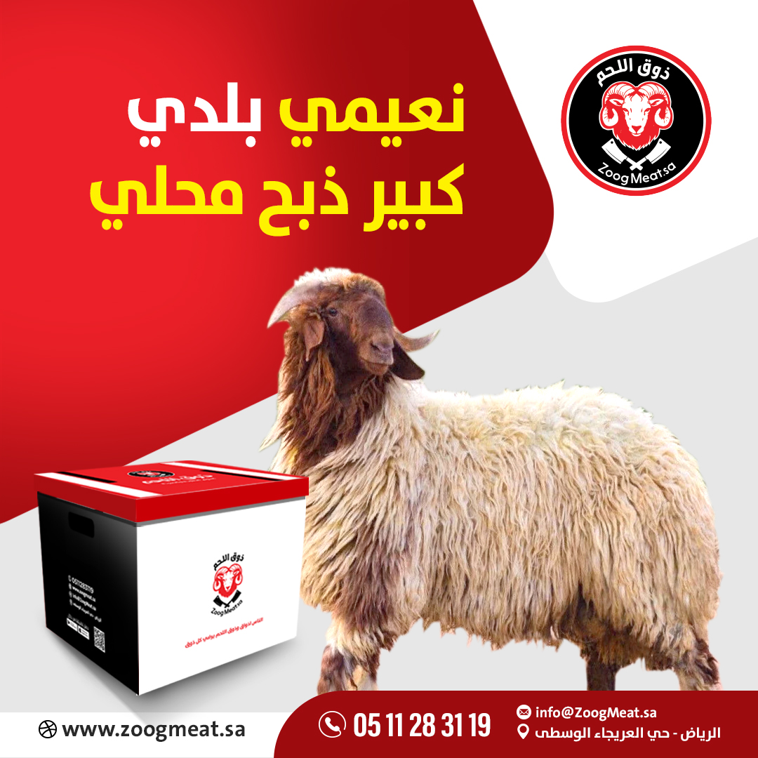 نعيمي بلدي كبير ذبح محلي 20 25 كيلو