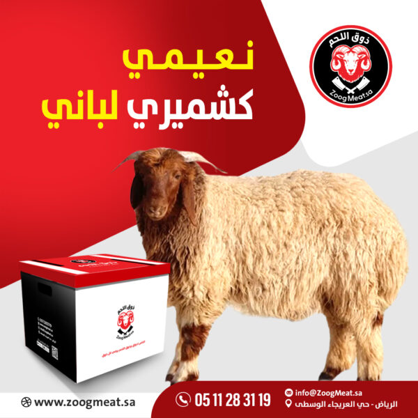 نعيمي كشميري لباني   8 كيلو