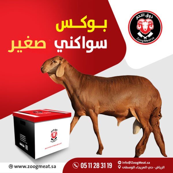 بوكس سواكني صغير 3 كيلو + كيلو مفرؤم