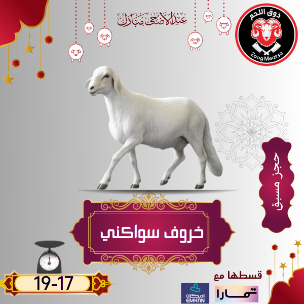 أضحية خروف سواكني 17 19 كيلو