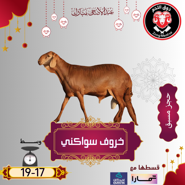 أضحية خروف سواكني 17 19 كيلو